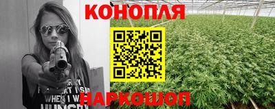 шишки Апшеронск