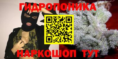 соль курить ск Аргун