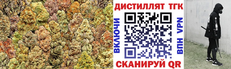 ТГК THC oil  дарнет шоп  Можга 