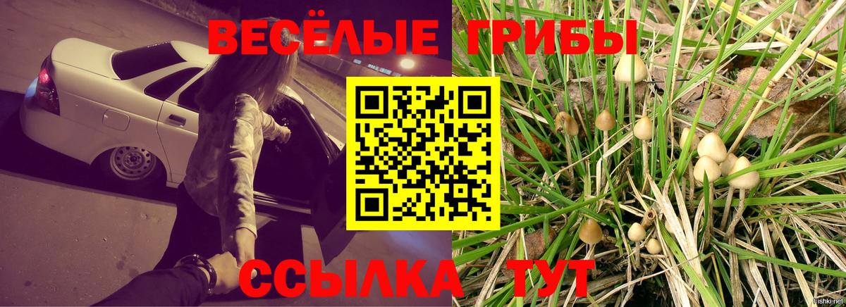 Галлюциногенные грибы GOLDEN TEACHER Можга