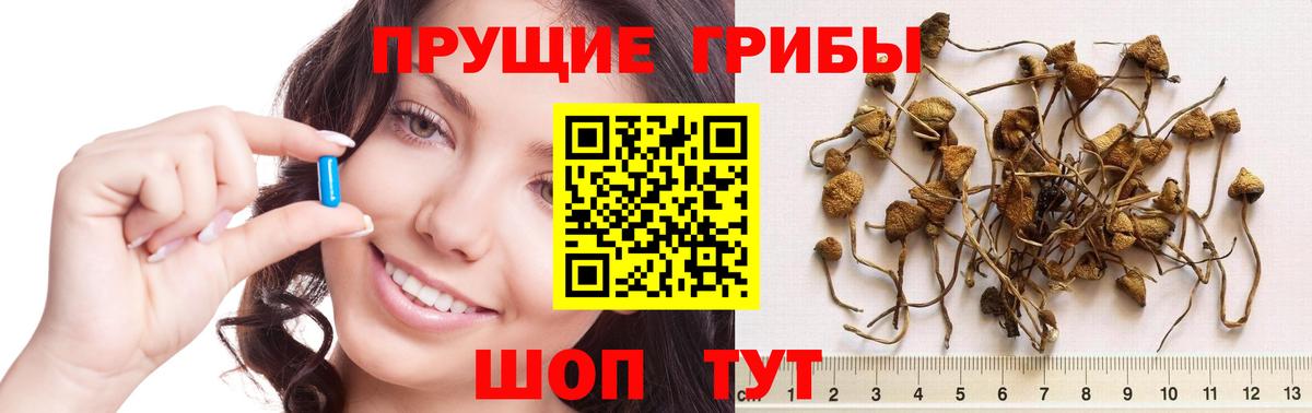 Галлюциногенные грибы мицелий Можга